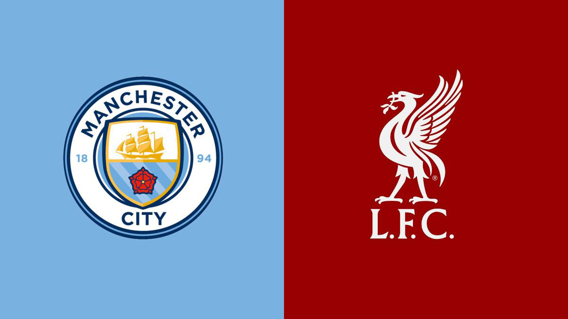 迅速蹿红 迅速蹿红